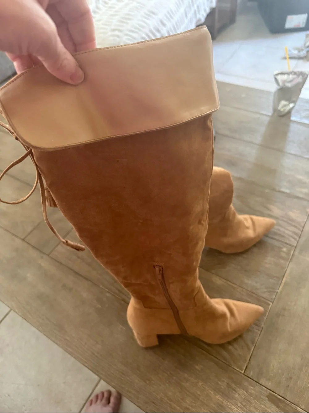 Show dazzle camel over
